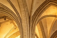 Antwerp-Belgium-2025-43