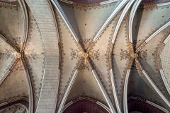 Antwerp-Belgium-2025-70