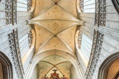 Antwerp-Belgium-2025-37