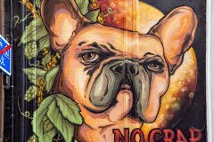 Antwerp-Belgium-2025-88