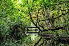 colmar-france-2025-41