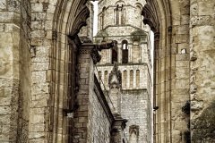 Jumieges-France-2025-30