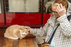 La-Bouille-France-2025-07