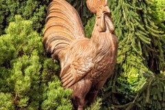 Cambremer-France-2025-02