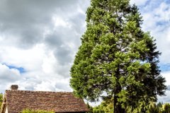 Cambremer-France-2025-11