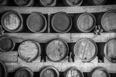 Cambremer-France-2025-13