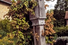 Cambremer-France-2025-17