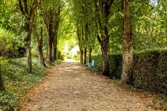 Cambremer-France-2025-24