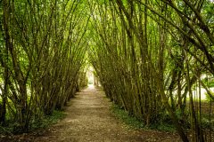 Cambremer-France-2025-38