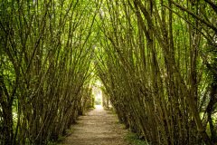 Cambremer-France-2025-39