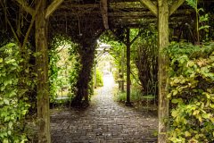 Cambremer-France-2025-46