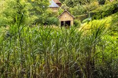 Cambremer-France-2025-48