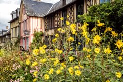 Le-Bec-Hellouin-France-2025-52