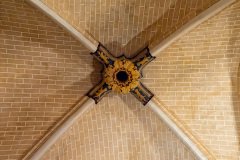 Chartres-France-2025-24