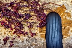 Mortagne-au-Perche-France-2025-17