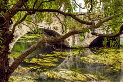 Chartres-France-2025-115