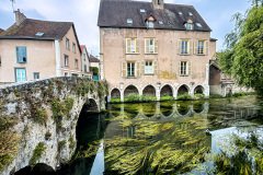 Chartres-France-2025-117