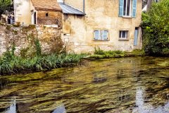 Chartres-France-2025-120