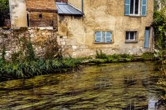 Chartres-France-2025-121