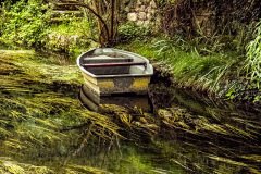 Chartres-France-2025-122