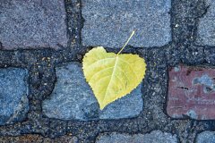 Paris-France-2025-47