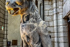 Paris-France-2025-145