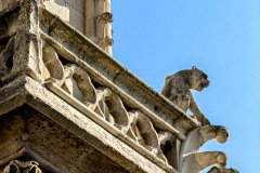 Paris-France-2025-156