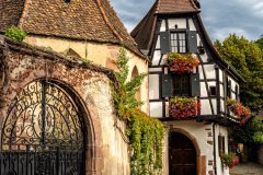 Kayserberg-France-2025-52