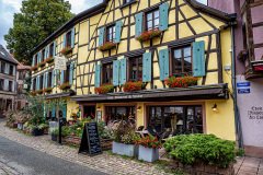 Ribeauville-France-2025-01