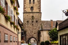 Ribeauville-France-2025-04