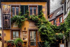 Ribeauville-France-2025-09