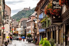 Ribeauville-France-2025-14