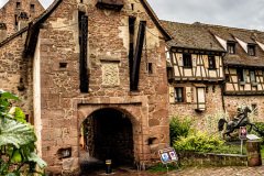 Riquewihr-France-2025-06