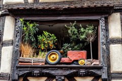 Riquewihr-France-2025-12