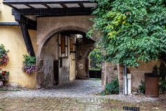 Riquewihr-France-2025-31