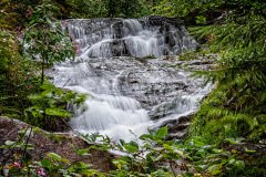 Oppenau-Germnay-2025-25