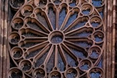 Freiburg-Germnay-2025-06