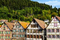 Schiltach-Germnay-2025-07