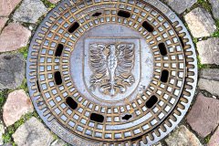 Villingen-Germnay-2025-01