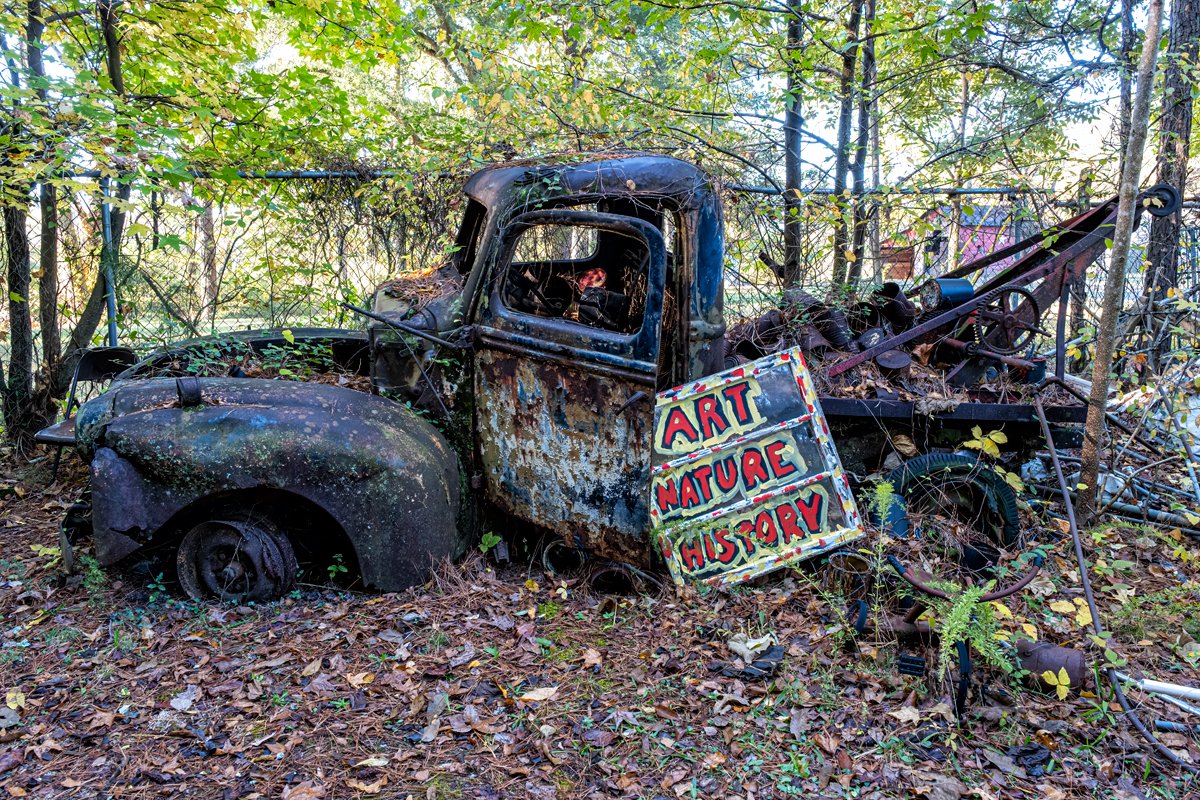 Rust, Moss, and Memories: The Living Canvas of Old Car City